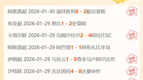 前国安球员欧战绽放光芒